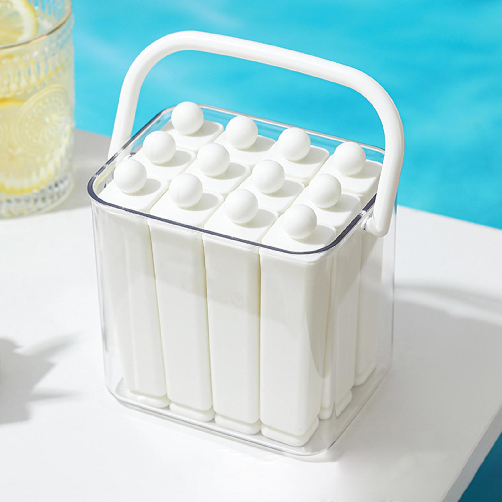 Ice Mold For Champagne Bottle  - Reusable Bottle recension och pris