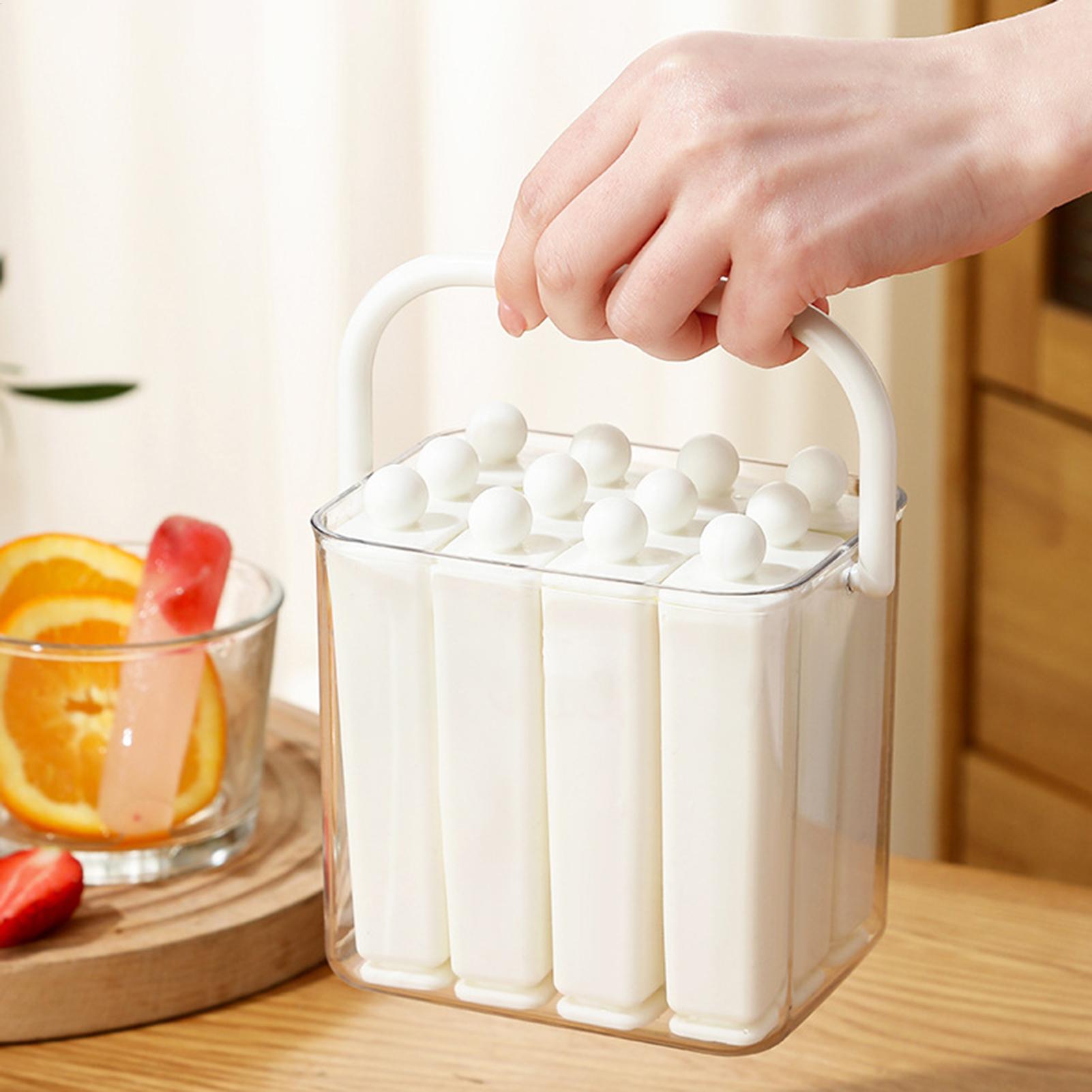Ice Mold For Champagne Bottle  - Reusable Bottle recension och pris